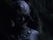 Filename=extant_StarTrek_VOY_6x02-SurvivalInstinct_02811.jpg
Filesize=126KiB
Dimensions=1200x900
Date added=Dec 27, 2019 extant_StarTrek_VOY_6x02-SurvivalInstinct_02811.jpg