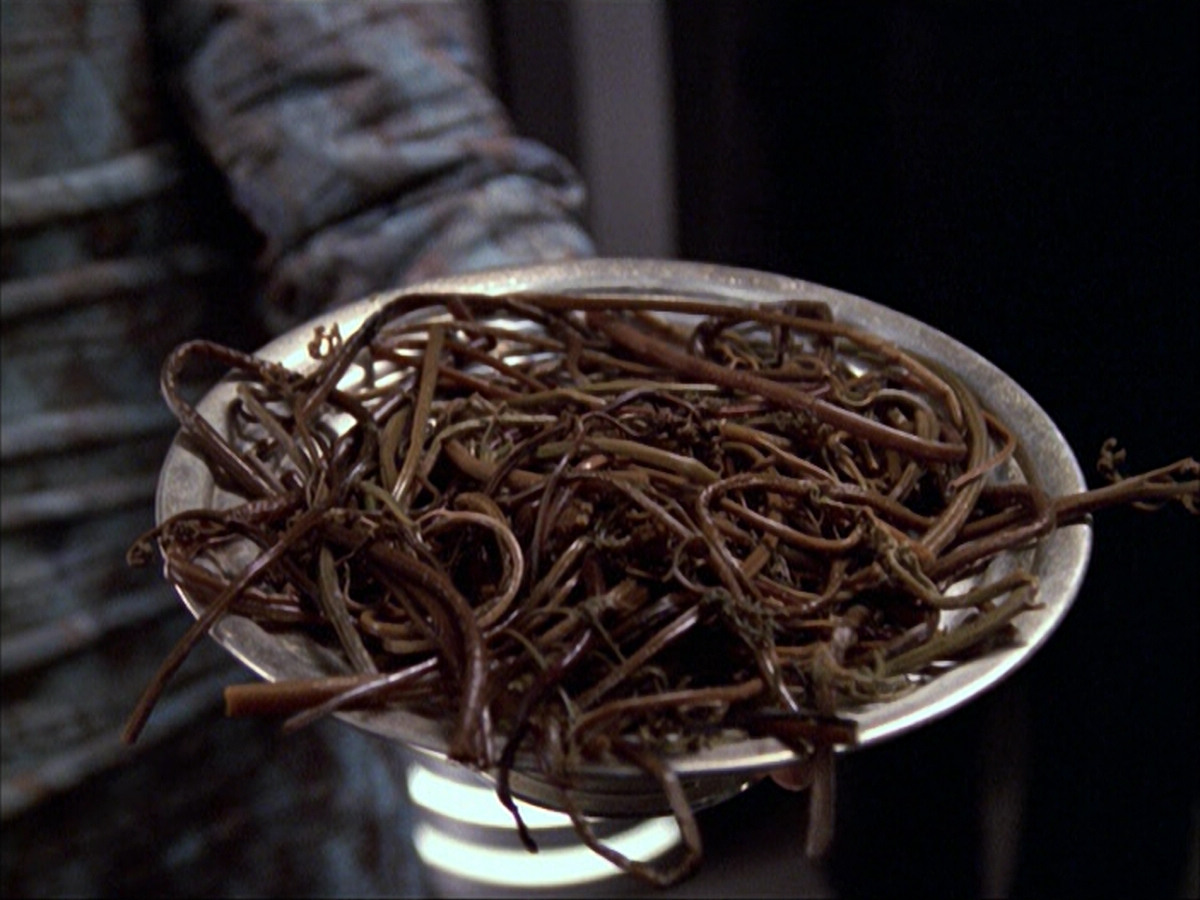 extant_StarTrek_VOY_6x03-BargeOfTheDead_00928.jpg