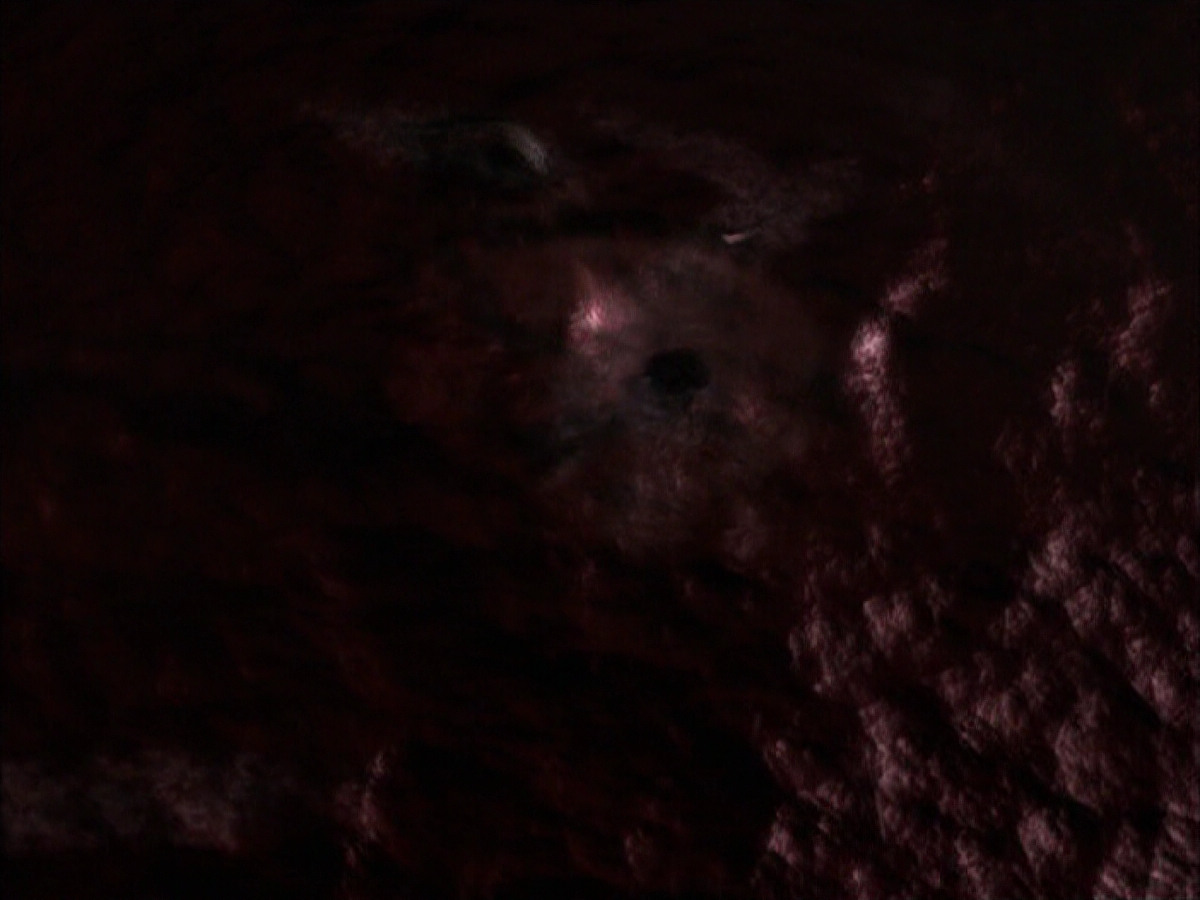 extant_StarTrek_VOY_6x03-BargeOfTheDead_01422.jpg