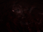 extant_StarTrek_VOY_6x03-BargeOfTheDead_01426.jpg