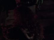 extant_StarTrek_VOY_6x03-BargeOfTheDead_01587.jpg