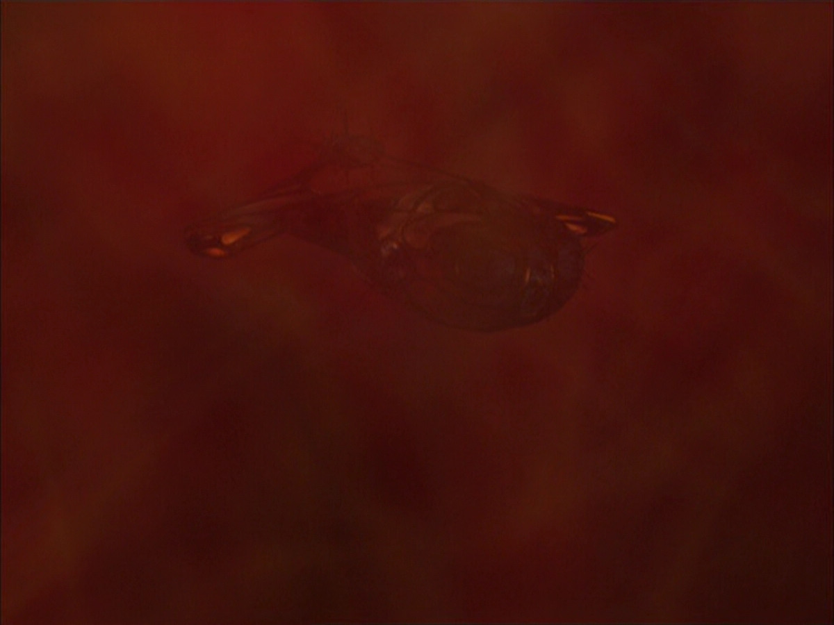 extant_StarTrek_VOY_6x04-TinkerTenorDoctorSpy_00632.jpg