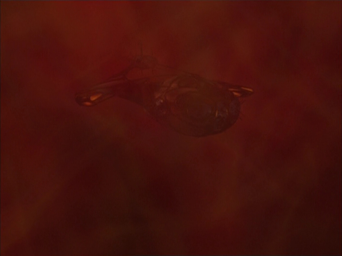 extant_StarTrek_VOY_6x04-TinkerTenorDoctorSpy_01645.jpg