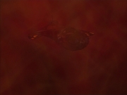 extant_StarTrek_VOY_6x04-TinkerTenorDoctorSpy_01645.jpg