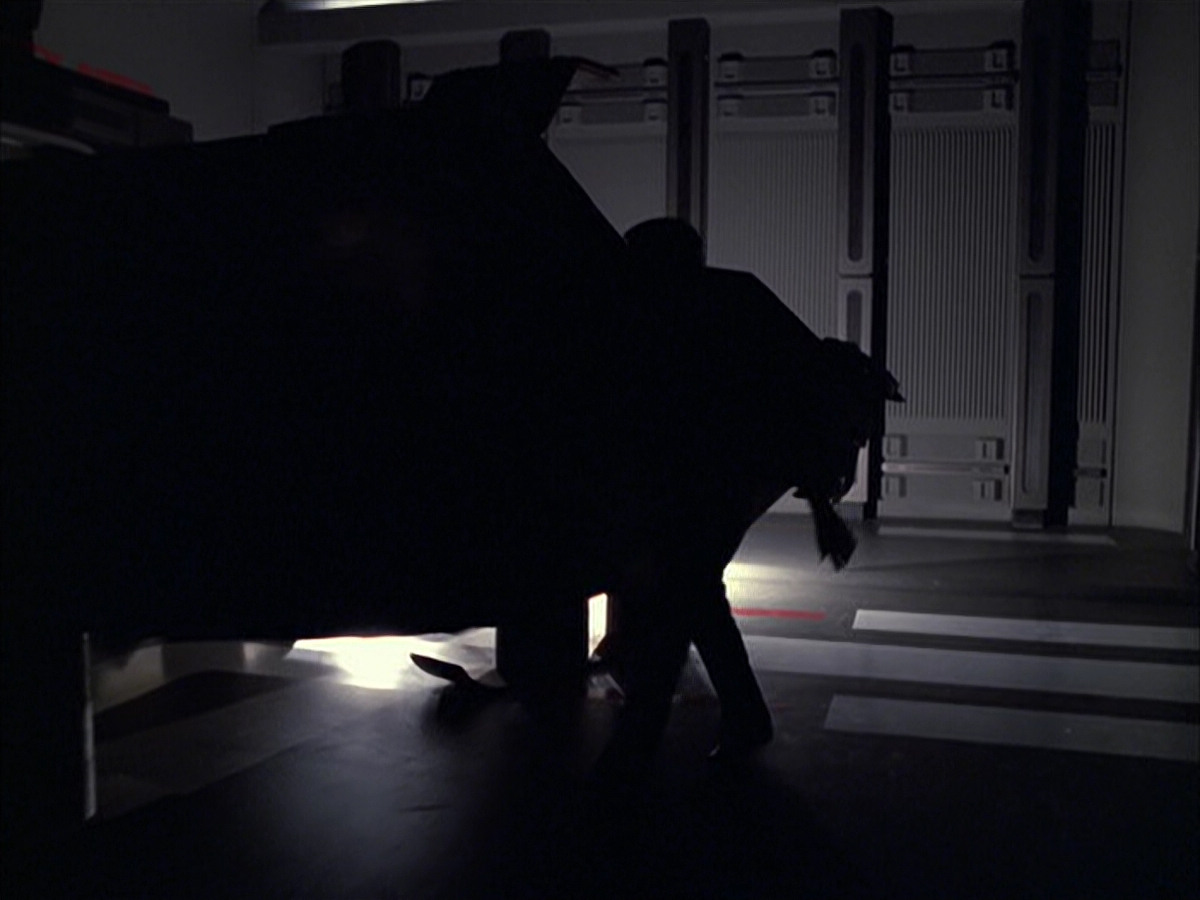 extant_StarTrek_VOY_6x05-Alice_00831.jpg