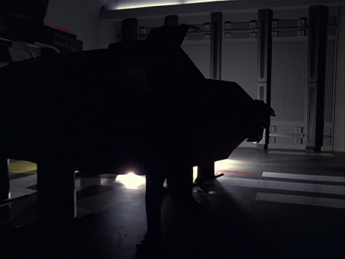 extant_StarTrek_VOY_6x05-Alice_00832.jpg
