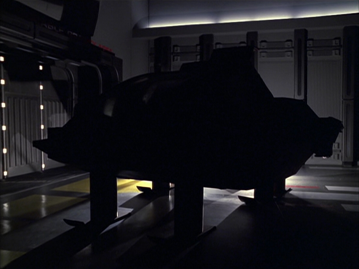 extant_StarTrek_VOY_6x05-Alice_00850.jpg