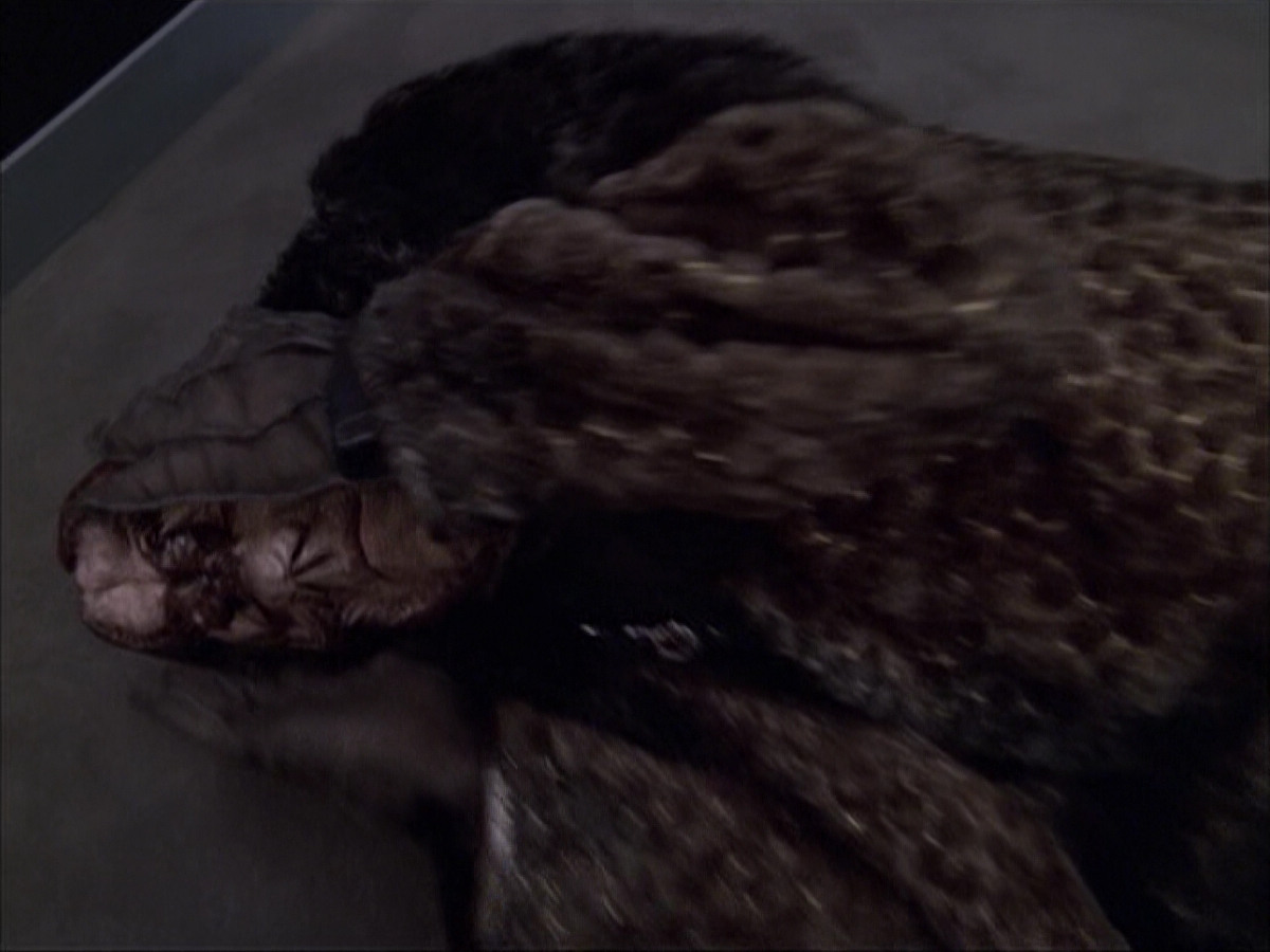 extant_StarTrek_VOY_6x05-Alice_02983.jpg