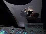 Filename=extant_StarTrek_VOY_6x05-Alice_00994.jpg
Filesize=146KiB
Dimensions=1200x900
Date added=Dec 27, 2019 extant_StarTrek_VOY_6x05-Alice_00994.jpg