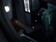 Filename=extant_StarTrek_VOY_6x05-Alice_02346.jpg
Filesize=152KiB
Dimensions=1200x900
Date added=Dec 27, 2019 extant_StarTrek_VOY_6x05-Alice_02346.jpg