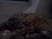 extant_StarTrek_VOY_6x05-Alice_02982.jpg