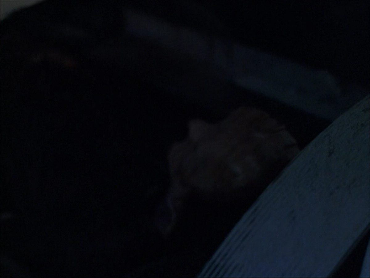 extant_StarTrek_VOY_6x07-DragonsTeeth_00847.jpg