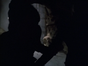 Filename=extant_StarTrek_VOY_6x07-DragonsTeeth_00042.jpg
Filesize=113KiB
Dimensions=1200x900
Date added=Dec 27, 2019 extant_StarTrek_VOY_6x07-DragonsTeeth_00042.jpg