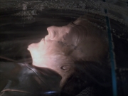 Filename=extant_StarTrek_VOY_6x07-DragonsTeeth_00777.jpg
Filesize=150KiB
Dimensions=1200x900
Date added=Dec 27, 2019 extant_StarTrek_VOY_6x07-DragonsTeeth_00777.jpg