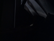 extant_StarTrek_VOY_6x07-DragonsTeeth_01829.jpg