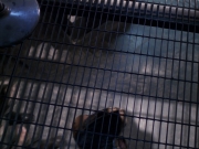 extant_StarTrek_VOY_6x07-DragonsTeeth_02224.jpg