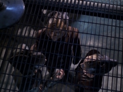 extant_StarTrek_VOY_6x07-DragonsTeeth_02230.jpg