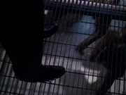 extant_StarTrek_VOY_6x07-DragonsTeeth_02252.jpg