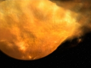 Filename=extant_StarTrek_VOY_6x08-OneSmallStep_00713.jpg
Filesize=157KiB
Dimensions=1200x900
Date added=Dec 27, 2019 extant_StarTrek_VOY_6x08-OneSmallStep_00713.jpg