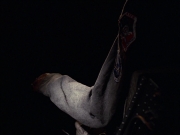 extant_StarTrek_VOY_6x08-OneSmallStep_02581.jpg