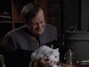 Filename=extant_StarTrek_VOY_6x10-Pathfinder_00236.jpg
Filesize=148KiB
Dimensions=1200x900
Date added=Dec 28, 2019 extant_StarTrek_VOY_6x10-Pathfinder_00236.jpg