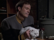 Filename=extant_StarTrek_VOY_6x10-Pathfinder_00253.jpg
Filesize=152KiB
Dimensions=1200x900
Date added=Dec 28, 2019 extant_StarTrek_VOY_6x10-Pathfinder_00253.jpg