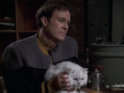 Filename=extant_StarTrek_VOY_6x10-Pathfinder_00254.jpg
Filesize=156KiB
Dimensions=1200x900
Date added=Dec 28, 2019 extant_StarTrek_VOY_6x10-Pathfinder_00254.jpg