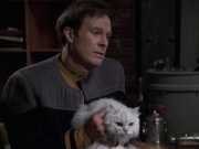 Filename=extant_StarTrek_VOY_6x10-Pathfinder_00255.jpg
Filesize=157KiB
Dimensions=1200x900
Date added=Dec 28, 2019 extant_StarTrek_VOY_6x10-Pathfinder_00255.jpg