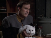 Filename=extant_StarTrek_VOY_6x10-Pathfinder_00259.jpg
Filesize=160KiB
Dimensions=1200x900
Date added=Dec 28, 2019 extant_StarTrek_VOY_6x10-Pathfinder_00259.jpg
