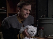 Filename=extant_StarTrek_VOY_6x10-Pathfinder_00260.jpg
Filesize=157KiB
Dimensions=1200x900
Date added=Dec 28, 2019 extant_StarTrek_VOY_6x10-Pathfinder_00260.jpg