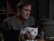 Filename=extant_StarTrek_VOY_6x10-Pathfinder_00262.jpg
Filesize=143KiB
Dimensions=1200x900
Date added=Dec 28, 2019 extant_StarTrek_VOY_6x10-Pathfinder_00262.jpg
