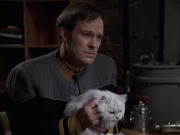 Filename=extant_StarTrek_VOY_6x10-Pathfinder_00267.jpg
Filesize=159KiB
Dimensions=1200x900
Date added=Dec 28, 2019 extant_StarTrek_VOY_6x10-Pathfinder_00267.jpg