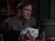 Filename=extant_StarTrek_VOY_6x10-Pathfinder_00270.jpg
Filesize=150KiB
Dimensions=1200x900
Date added=Dec 28, 2019 extant_StarTrek_VOY_6x10-Pathfinder_00270.jpg