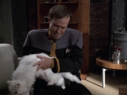 Filename=extant_StarTrek_VOY_6x10-Pathfinder_00447.jpg
Filesize=176KiB
Dimensions=1200x900
Date added=Dec 28, 2019 extant_StarTrek_VOY_6x10-Pathfinder_00447.jpg