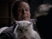 Filename=extant_StarTrek_VOY_6x10-Pathfinder_03633.jpg
Filesize=126KiB
Dimensions=1200x900
Date added=Dec 28, 2019 extant_StarTrek_VOY_6x10-Pathfinder_03633.jpg