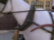 Filename=extant_StarTrek_VOY_6x11-FairHaven_00033.jpg
Filesize=169KiB
Dimensions=1200x900
Date added=Dec 28, 2019 extant_StarTrek_VOY_6x11-FairHaven_00033.jpg