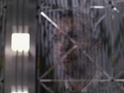 Filename=extant_StarTrek_VOY_6x11-FairHaven_01502.jpg
Filesize=150KiB
Dimensions=1200x900
Date added=Dec 28, 2019 extant_StarTrek_VOY_6x11-FairHaven_01502.jpg