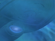 extant_StarTrek_VOY_6x11-FairHaven_03197.jpg