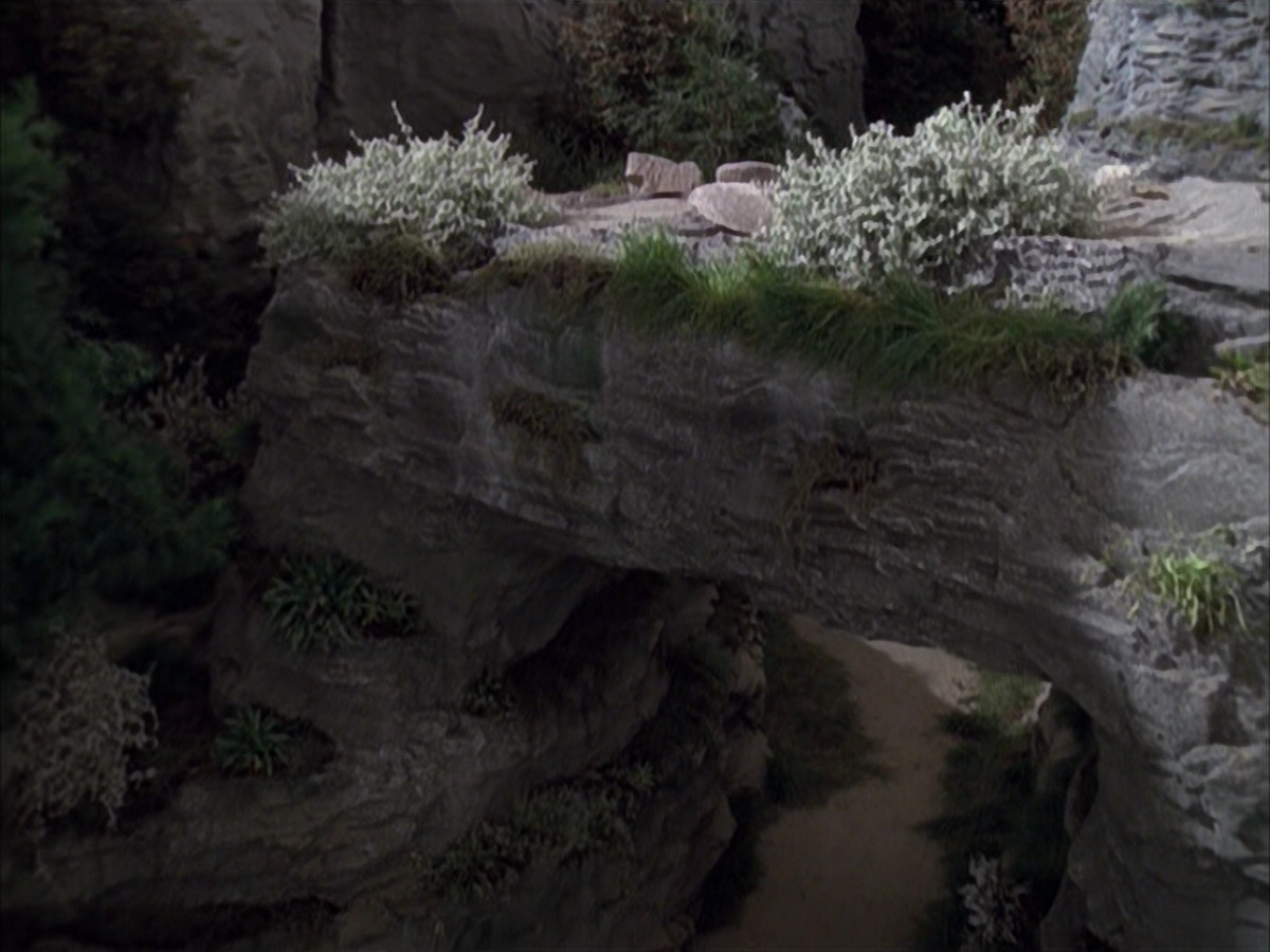 extant_StarTrek_VOY_6x12-BlinkOfAnEye_00678.jpg