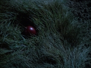 Filename=extant_StarTrek_VOY_6x12-BlinkOfAnEye_00353.jpg
Filesize=297KiB
Dimensions=1200x900
Date added=Dec 28, 2019 extant_StarTrek_VOY_6x12-BlinkOfAnEye_00353.jpg