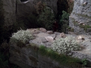 extant_StarTrek_VOY_6x12-BlinkOfAnEye_00673.jpg