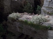 extant_StarTrek_VOY_6x12-BlinkOfAnEye_00675.jpg