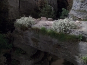 extant_StarTrek_VOY_6x12-BlinkOfAnEye_00676.jpg