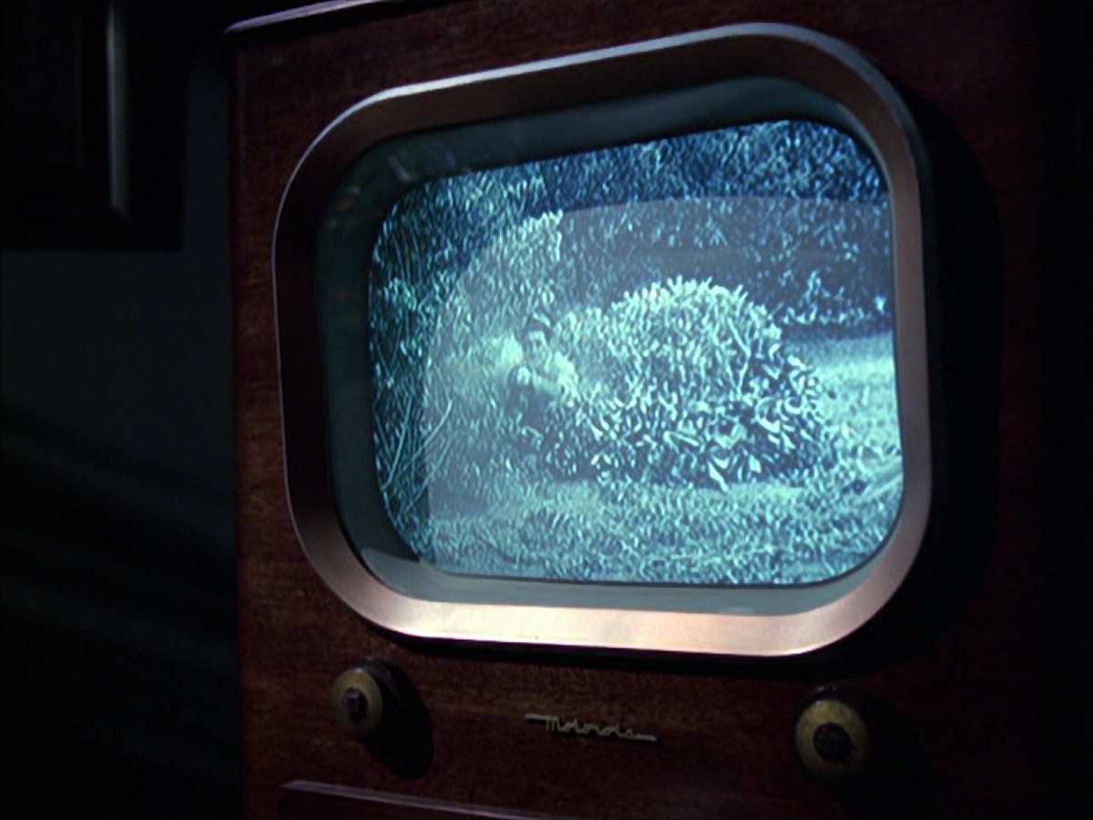 extant_StarTrek_VOY_6x14-Memorial_00344.jpg