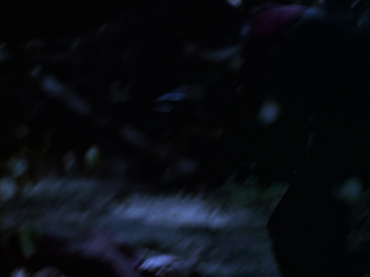 extant_StarTrek_VOY_6x14-Memorial_00612.jpg