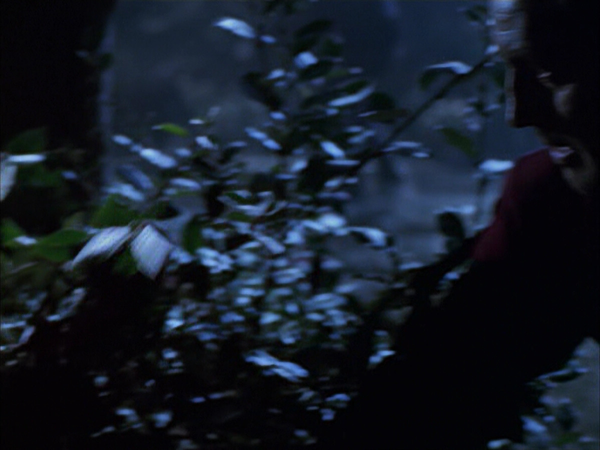 extant_StarTrek_VOY_6x14-Memorial_00987.jpg