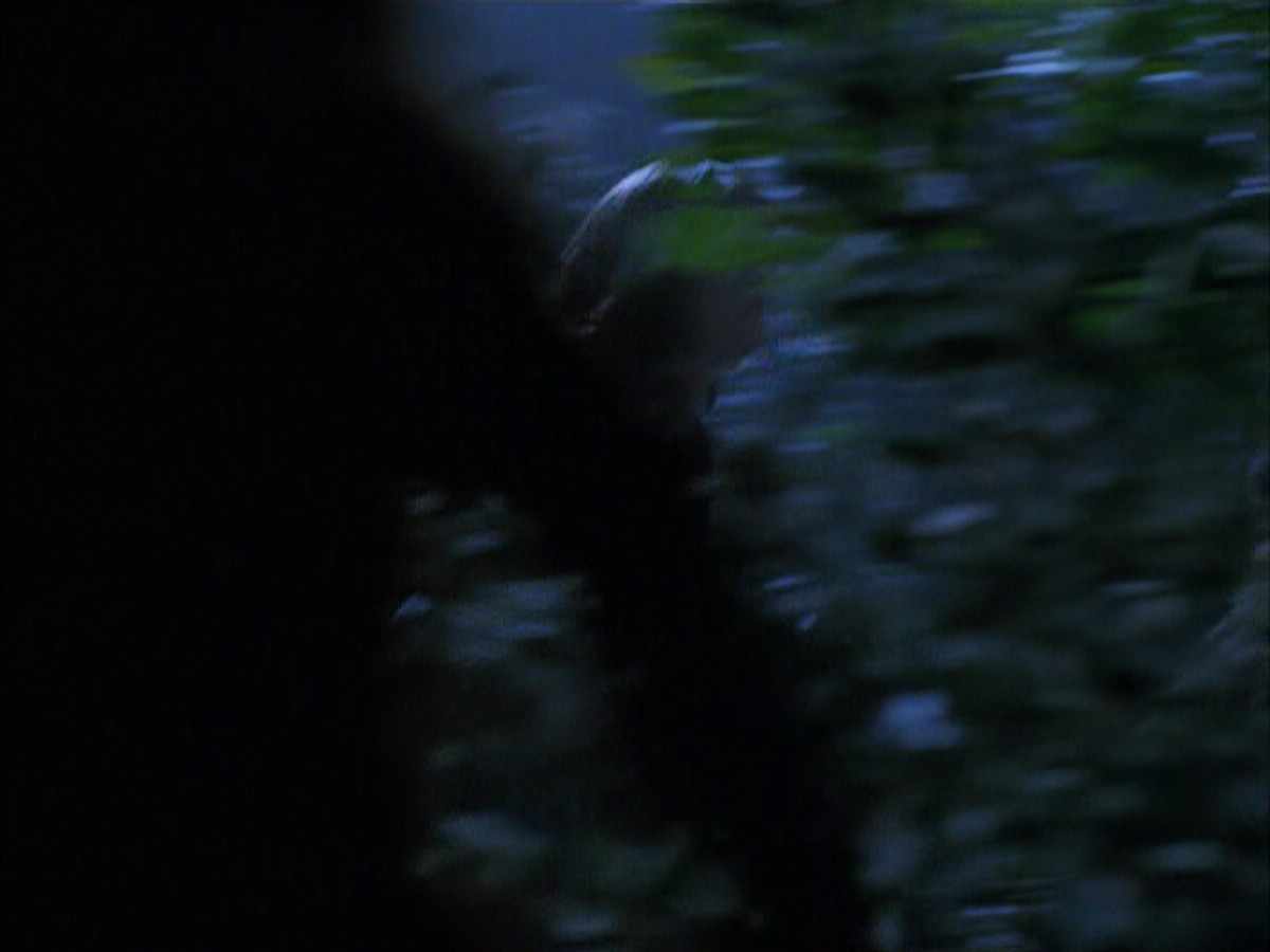 extant_StarTrek_VOY_6x14-Memorial_01717.jpg