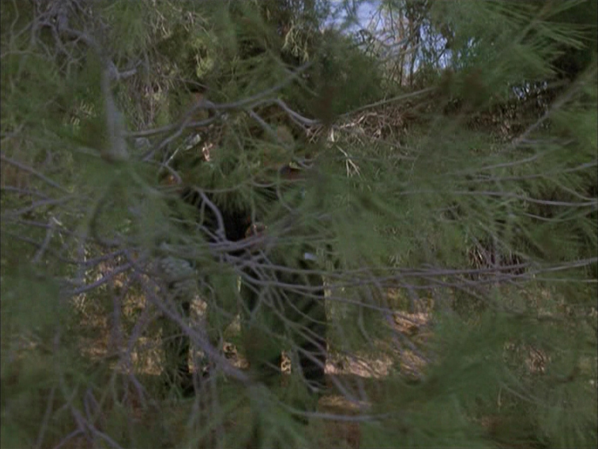 extant_StarTrek_VOY_6x14-Memorial_03145.jpg