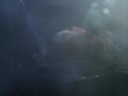 Filename=extant_StarTrek_VOY_6x14-Memorial_00590.jpg
Filesize=125KiB
Dimensions=1200x900
Date added=Jan 02, 2020 extant_StarTrek_VOY_6x14-Memorial_00590.jpg