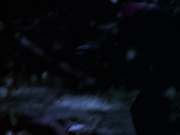 extant_StarTrek_VOY_6x14-Memorial_00612.jpg